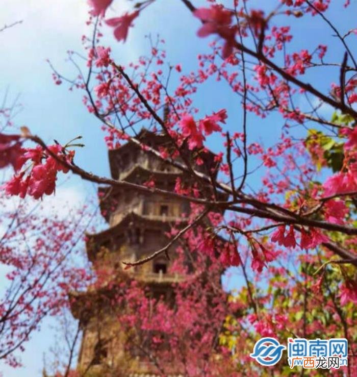 霸气的签名，锁屏签名一句话唯美霸气励志语句大全