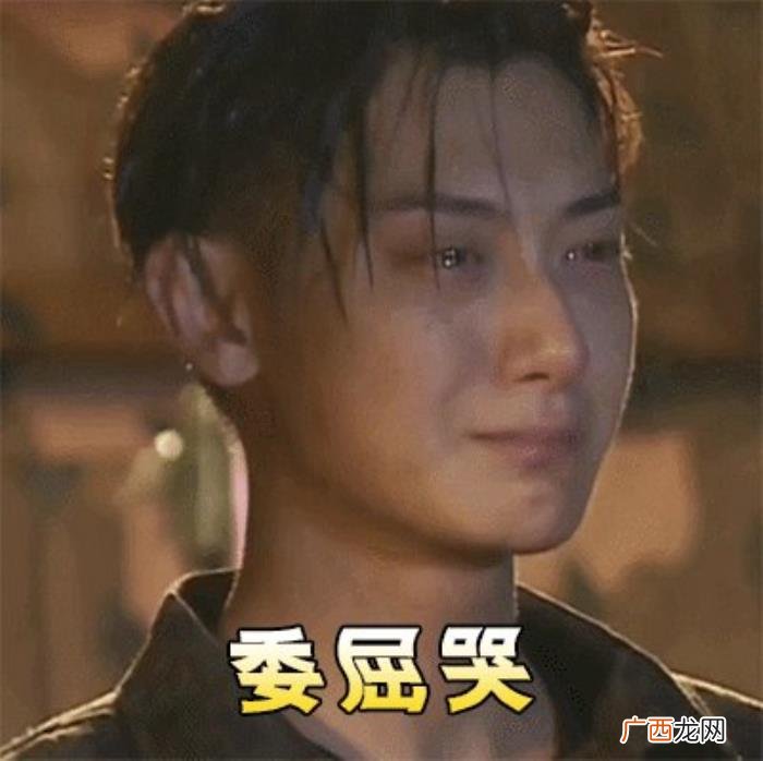 黄子韬武汉,黄子韬为武汉捐款100万元获好评