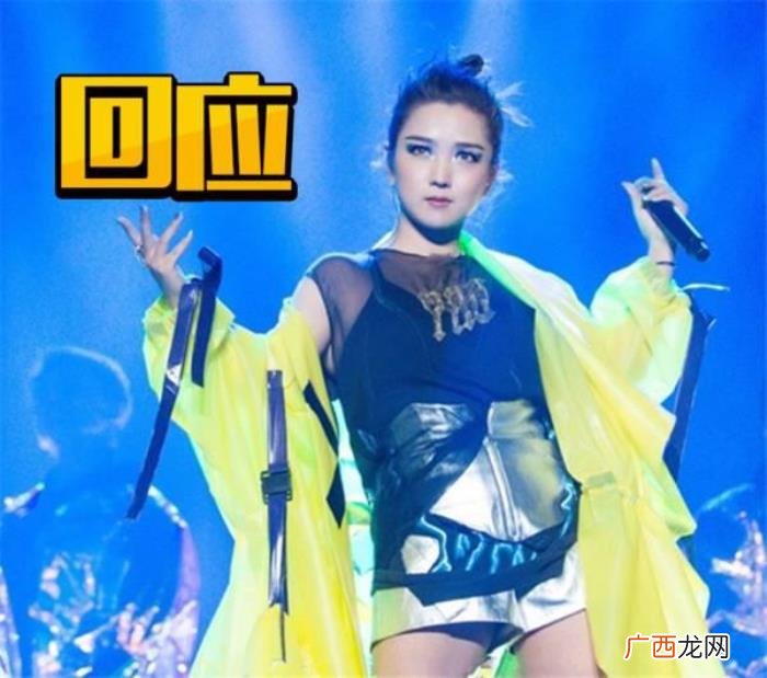 何洁演唱会,何洁演唱会回应称赫子铭为了金钱利益无下限