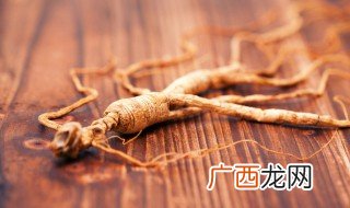 人参的作用是什么 人参的作用有哪些