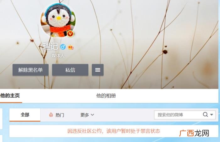燕公子微博，微博大V@理记、@衣锦夜行的燕公子被禁言