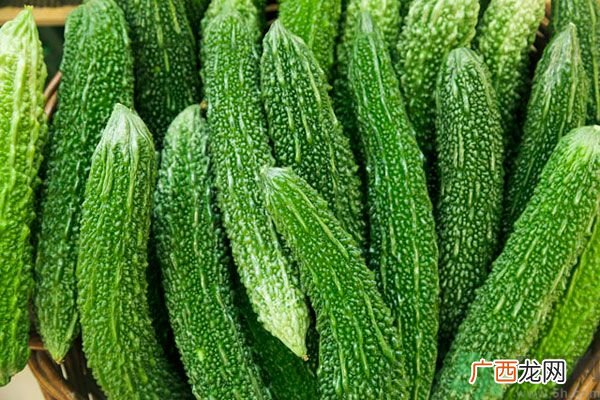 苦瓜干怎么吃？苦瓜干好不好吃？