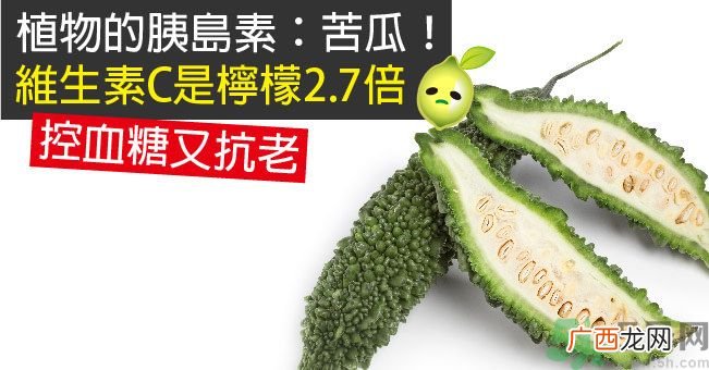 苦瓜干怎么吃？苦瓜干好不好吃？