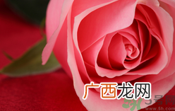 桃花可以和玫瑰一起喝吗?桃花能和玫瑰一起喝吗?