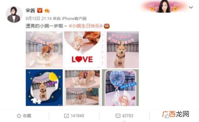 宋茜张继科，宋茜、张继科、王珞丹、张子枫为爱犬庆生