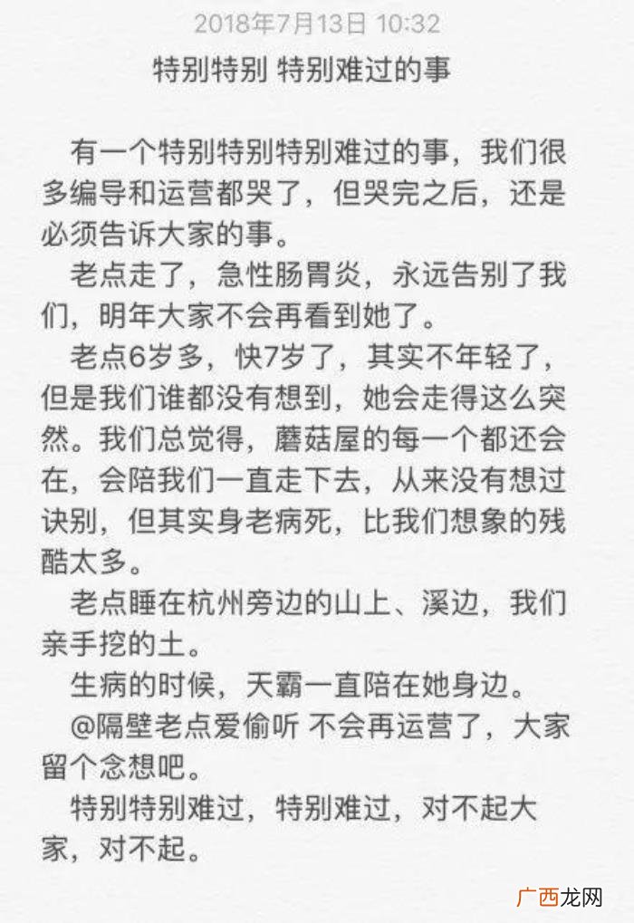 宋茜张继科，宋茜、张继科、王珞丹、张子枫为爱犬庆生