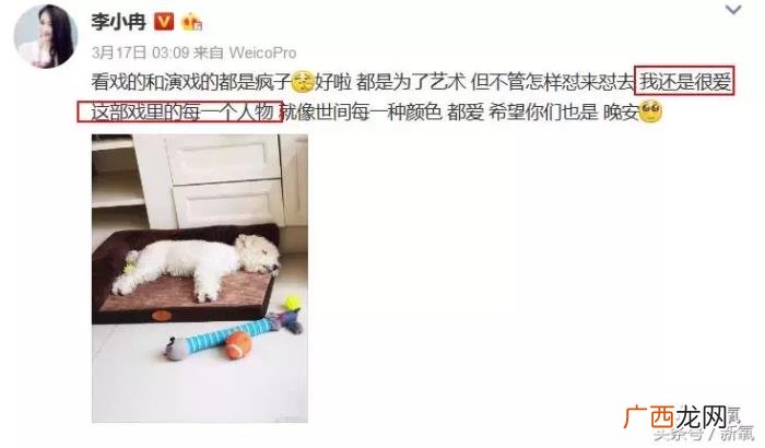 李小冉梅婷,李小冉和梅婷因为小三问题正面刚噜