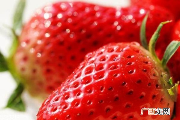 水果面膜的制作方法大全