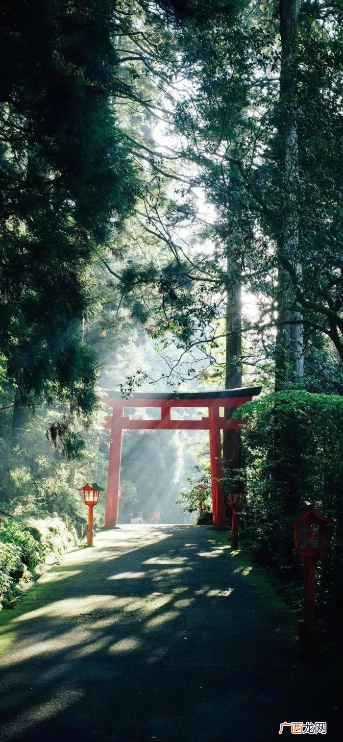 珍藏版 淡绿色壁纸，岁月静好--夏季最养眼的绿色高清壁纸