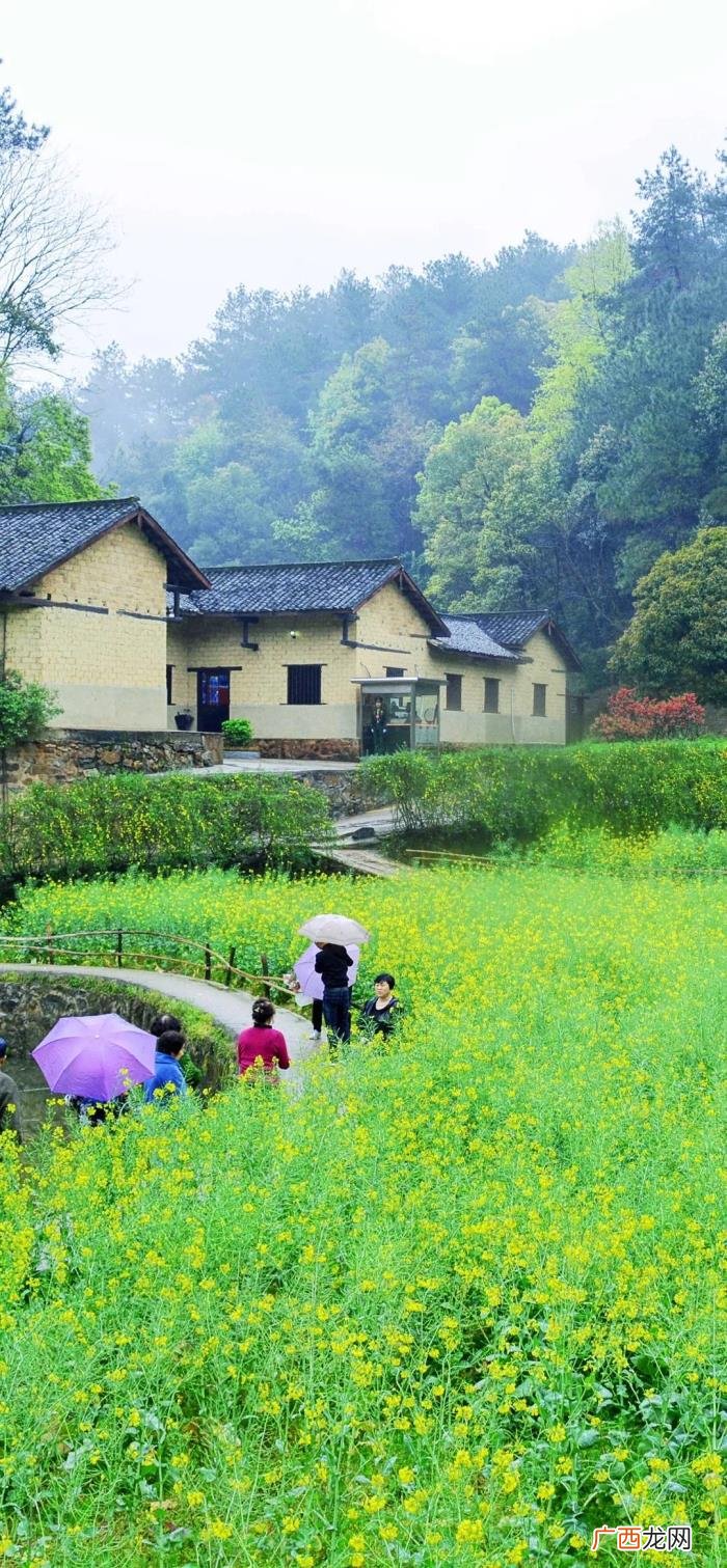 珍藏版 淡绿色壁纸，岁月静好--夏季最养眼的绿色高清壁纸