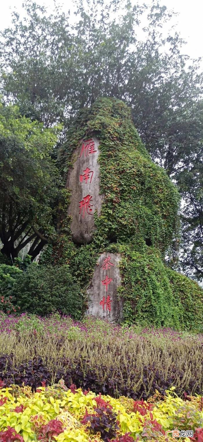 珍藏版 淡绿色壁纸，岁月静好--夏季最养眼的绿色高清壁纸