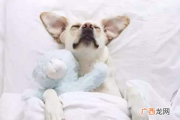 失眠长眼袋怎么办
