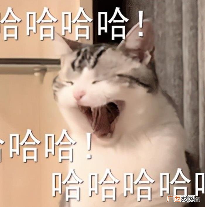 侯佩岑节目，侯佩岑居然在节目上嘴碎、冷脸、控制狂…