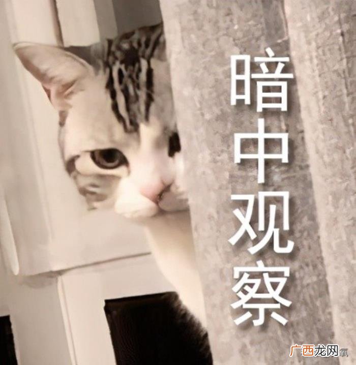 侯佩岑节目，侯佩岑居然在节目上嘴碎、冷脸、控制狂…