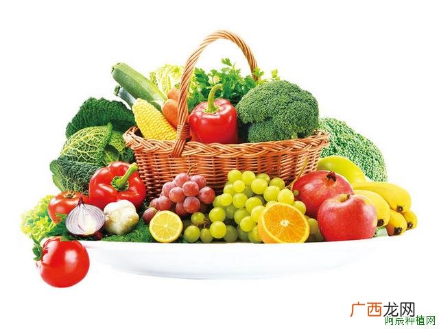 大棚黄瓜怎样浇水效果好？这里有方法