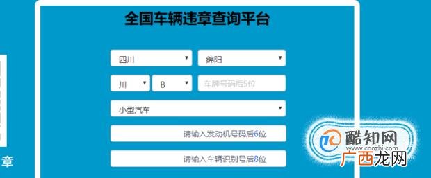 新车车辆如何年检 年检标志领取流程