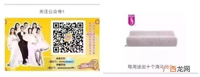 黄晓明黄磊，独家专访黄晓明黄磊沈腾谁能C位出道