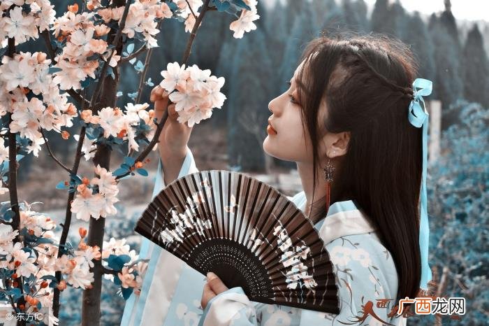 汉族人血统，汉族是血统概念、文化概念还是地域概念