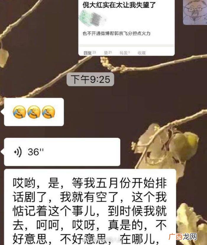 倪大红微博,倪大红回应不开通微博帮郭京飞分担火力