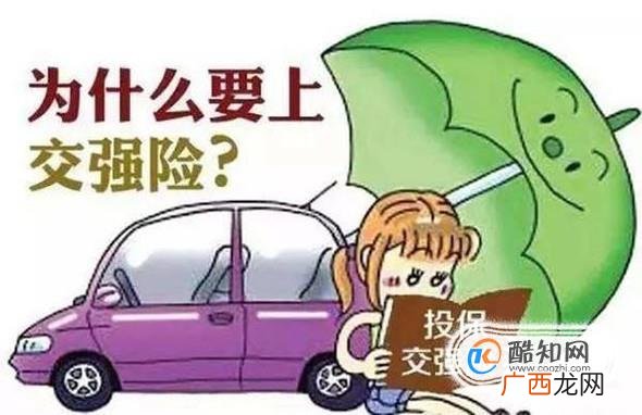 车险如何买最划算