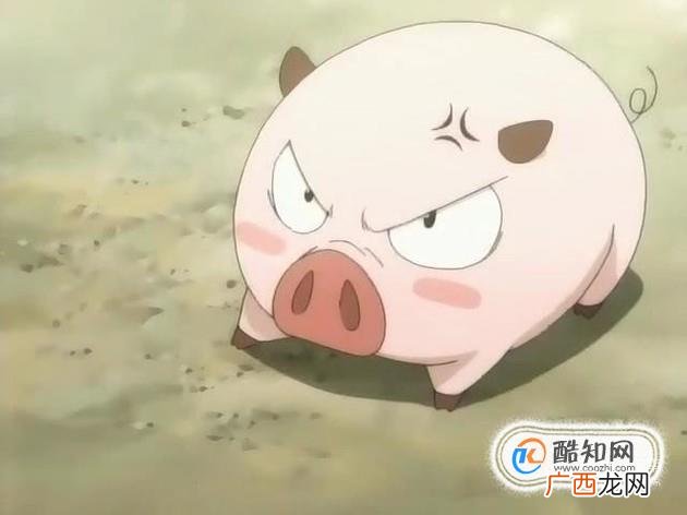 车牌号码选哪些数字吉利