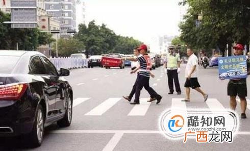 机动车怎么礼让行人？