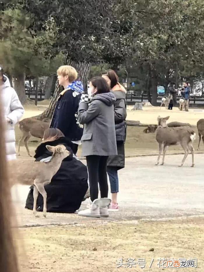 陈赫抽烟吗，鹿晗关晓彤与陈赫夫妇在日本抽烟引争议