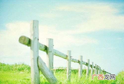 为什么二手车市场里会有一些开了不到3个月的新车？