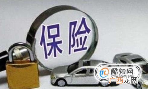 开车时撞死了狗怎么办？