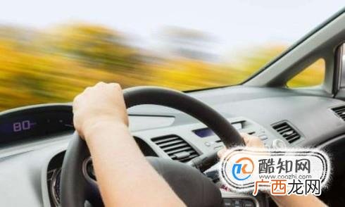 开车时撞死了狗怎么办？