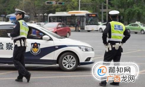 开车时撞死了狗怎么办？