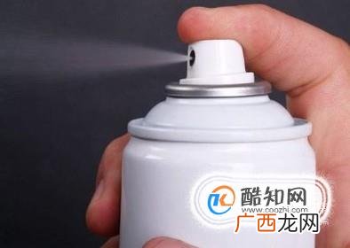 车内有蜘蛛怎么办