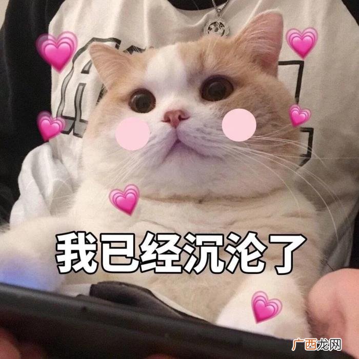 蓝盈莹金晨，蓝盈莹金晨王珞丹合力出手巧妙化解