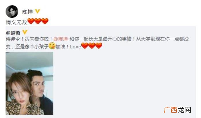 陈坤和赵薇，但有种失和叫赵薇陈坤真不是路人想象