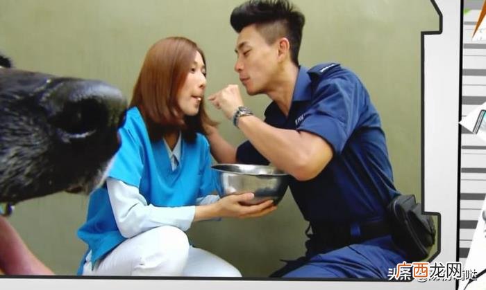 黄宗泽喜剧，黄宗泽钟嘉欣主演的这部TVB爆笑喜剧