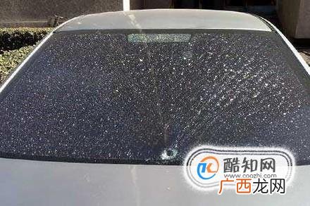 汽车玻璃如何清洗和保养