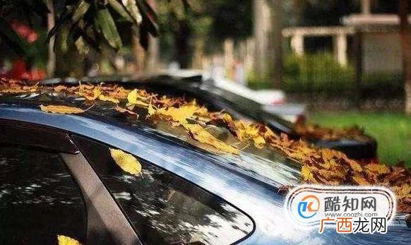 经常闲置车辆，这样的汽车保养该怎么做？