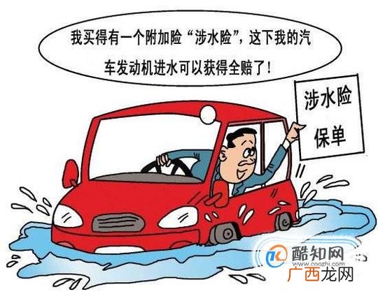 车险保险包含哪些项目