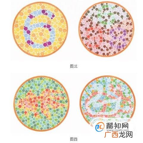 考驾照：条件要求