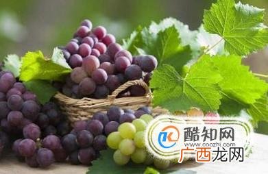 车内跑进许多蚂蚁怎么办？