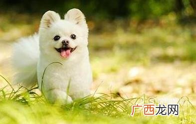 坐长途汽车不能带什么