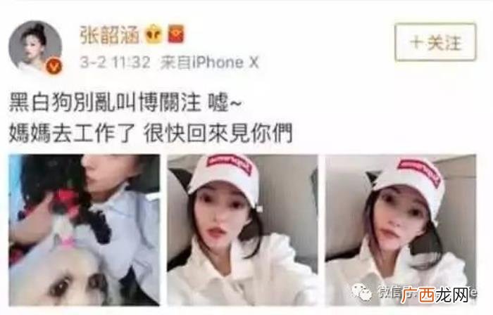 张韶涵微博，张韶涵发微博黑白狗别乱叫疑回怼范玮琪
