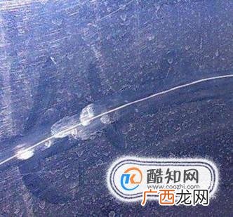 如何去除汽车划痕