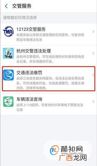 怎么用支付宝进行违章处理和网上缴费