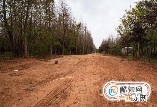 哪些路面易导致车轮打滑?