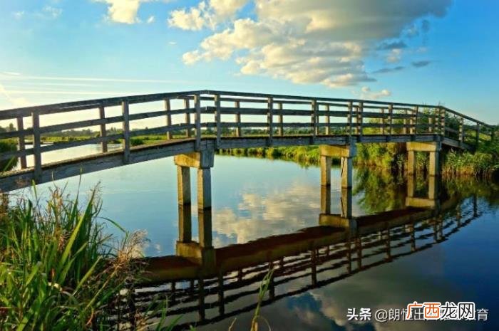 学韩国语言，韩国留学语言要求及选什么专业比较好就业