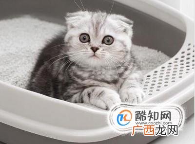 开车容易犯困怎么办
