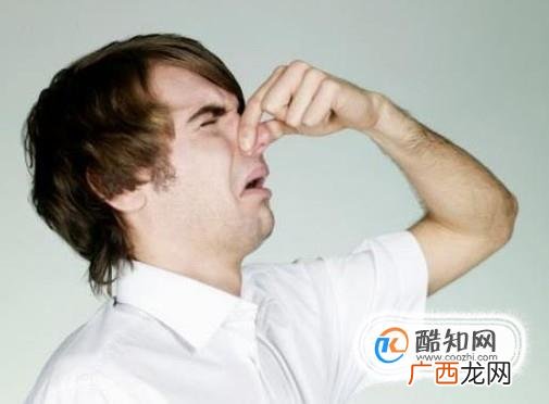 怎么给自己的爱车挑一款车用香水？