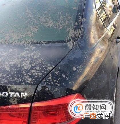 汽车溅上水泥清洗方法