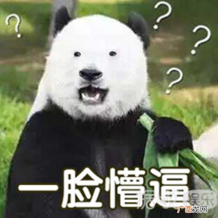 宋茜后踢腿，宋茜下腰、周迅踢腿、钟楚曦做瑜伽